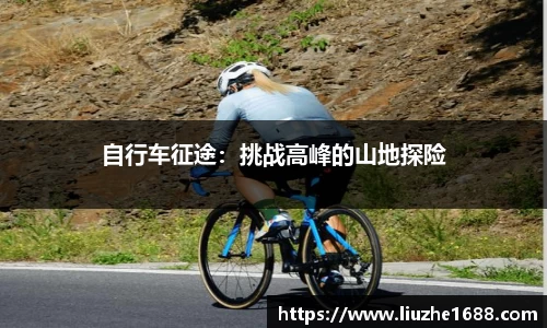 自行车征途：挑战高峰的山地探险