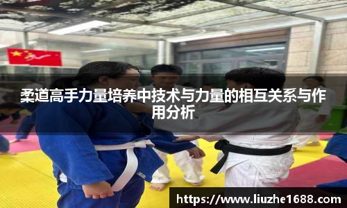 柔道高手力量培养中技术与力量的相互关系与作用分析