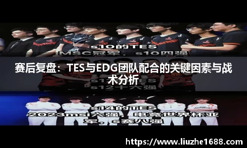 zoty中欧官方app下载