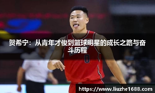 贺希宁：从青年才俊到篮球明星的成长之路与奋斗历程